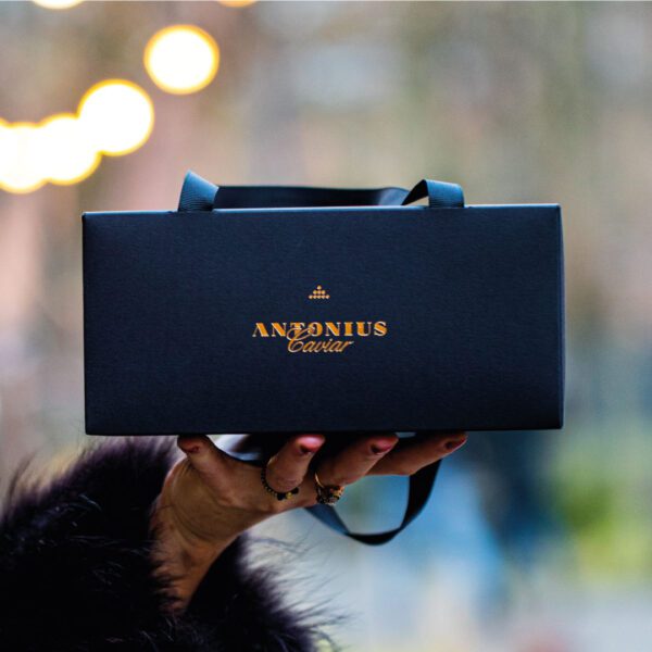estuche regalo