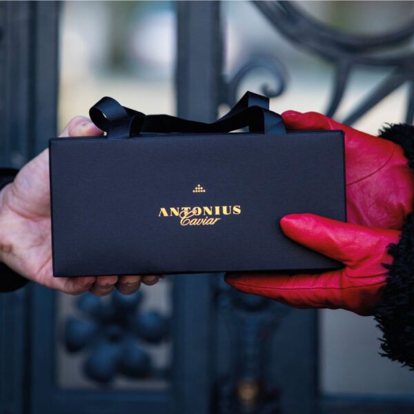 estuche regalo